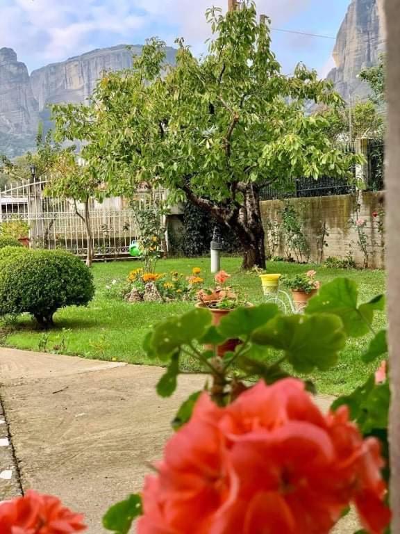 Meteora View Garden Apartment Kalampáka Ngoại thất bức ảnh